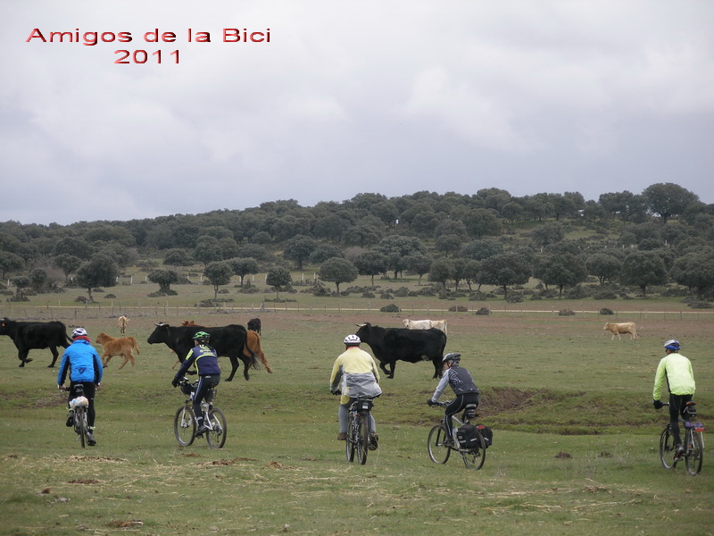 Click para ver la siguiente