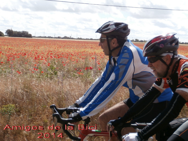 Click para ver la siguiente